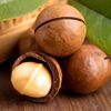 Bulk Macadamia Nuts Wholesale, Large Fresh Macadamia Nuts, Creamy Flavor, Large Thin-Shelled Snacks, Roasted Nuts