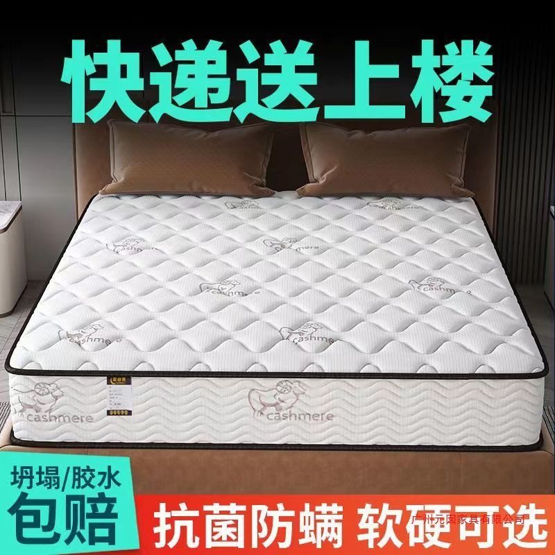 Simmons Mattress Economical 20cm Thick Household Spring Latex Coconut Palm Soft and Hard Dual-Use 2025 New Model