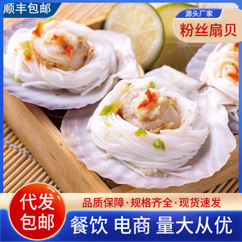 Garlic Vermicelli Scallops Large Scallop Vermicelli Fresh Frozen Grilled Scallops Barbecue Semi-Finished Ingredients Seafood Wholesale