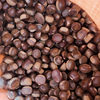 Authentic Raw Chestnuts from Qianxi, Authentic Yanshan Wild Oil Chestnuts, Fresh Shelled Raw Chestnuts for Weddings