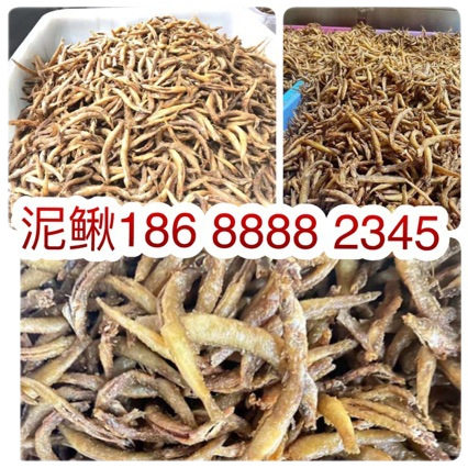 Dried Loach Exhibition Stall E-Commerce Wanguihu Fried Dried Loach Dried Loach Powder-Free Dried Loach Dried Fish Dried Fish