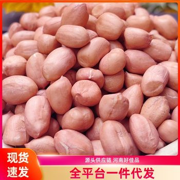 Raw Peanuts, Freshly Shelled Peanuts, New Arrival, Fresh Large Kernels, Oil Extraction, Suitable for Home Use and Porridge, Available for Dropshipping