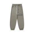 D29 gray pants