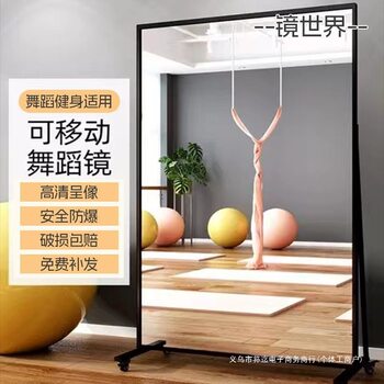 Full-Body Floor Mirror, Movable Dance Mirror, Gym Yoga Room Large Mirror, Home Dance Mirror with Wheels, Metal