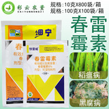 Bainongstar Fine Ning 6% Рис с Чунлеимицином Rice blast для защиты растений от распыления пестицидного фунгицида