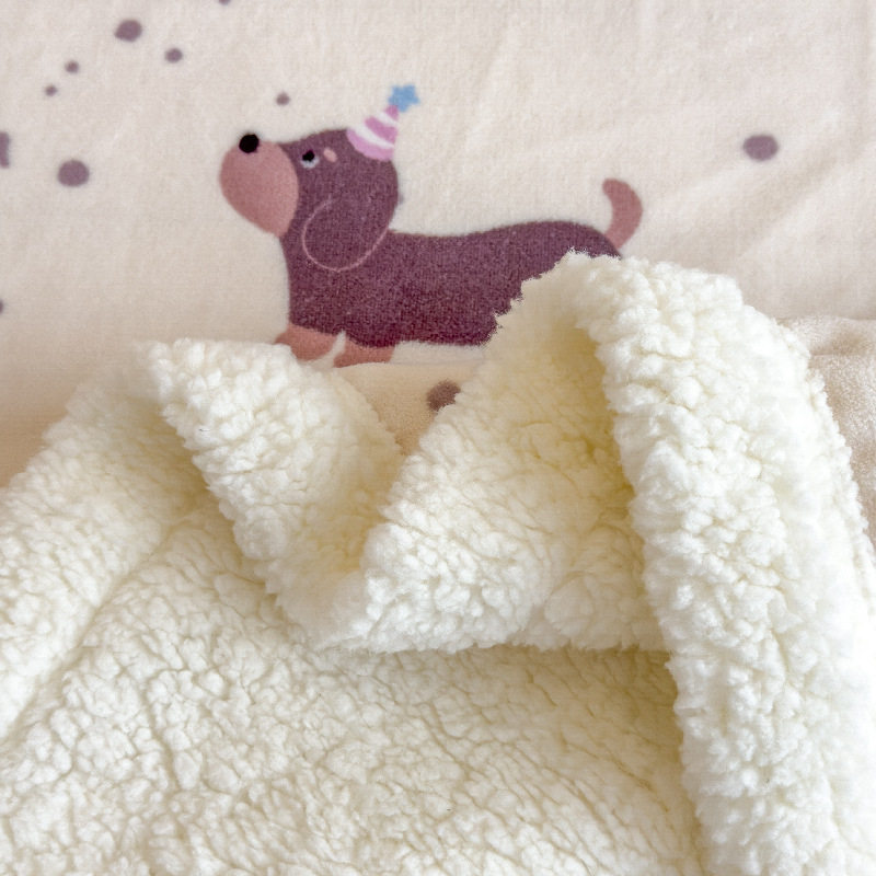 Thickened Winter Lamb Velvet Blanket Milk Velvet Office Nap Coral Velvet Shawl Small Quilt Sofa Blanket
