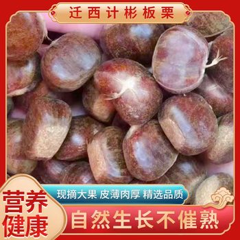 Qianxi Yanshan Chestnuts Are Fresh and Soft, Glutinous and Sweet, Direct from the Place of Origin, Suitable for Commercial Use in Snack Shops, Starting from One Pack