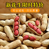 2024 Freshly Dug and Sun-Dried Four Red Shelled Raw Peanuts, Red-Skinned Peanuts, Original Flavor, Fried and Cooked, Farm-Produced