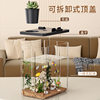 Fish Tank Home Office Transparent Feeding Box Landscape with Light Filter Oxygen Making Machine Small Desktop Ecological Tank