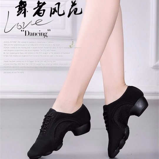 Dance Shoes, Square Dance Shoes, Women's Adult and Children's Latin Dance Modern Dance Shoes, Soft-Soled Ballroom Dance Shoes