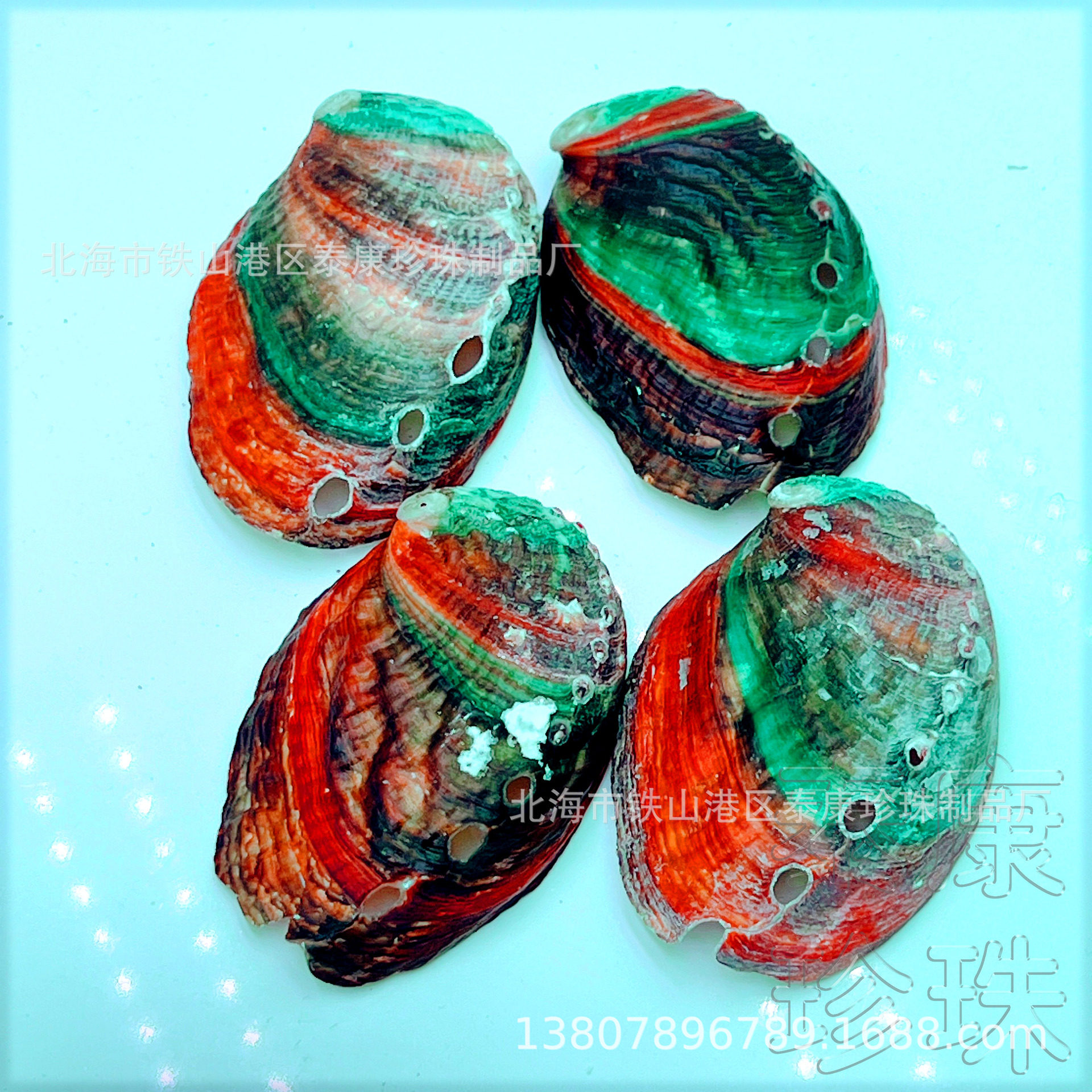 Sell color mini small abalone shell aquarium landscape optimization conch shell craft pearl ornaments