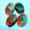 Sell color mini small abalone shell aquarium landscape optimization conch shell craft pearl ornaments