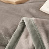 South Korea double-sided velvet bed sheet solid color thickened milk velvet blanket flannel coral velvet warm velvet quilt sheet anti-static