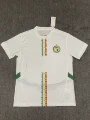 2526 Senegal Home