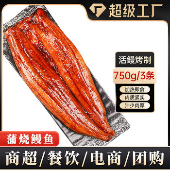 Japanese-Style Grilled Eel Flavor, Grilled Eel Sushi Ingredients, Ready-To-Eat, Commercial Seafood Wholesale and Delivery