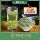 Новый чай 2025 года Mengding Manna № 9 Manna Spring Tea 125 г зеленого чая премиум-класса Biluochun mini 0