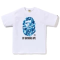 Gray 730 white blue