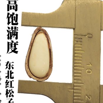 New Red Pine Nuts from Northeast China, Specialty Large Kernels, Original Flavor, Hand-Peeled Artificial Pine Seeds, Bulk 500g
