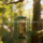 Трансграничная наружная подвесная кормушка для птиц metal PC tube plastic mesh bird cage feeder для птиц mini 2