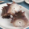 Immediately Ready-To-Eat Sea Cucumber and Sea Cucumber 500g Dalian Manufacturer Liaoginseng Fresh and Permeated Dry Goods Dalian Sea Cucumber Single Taste Pack