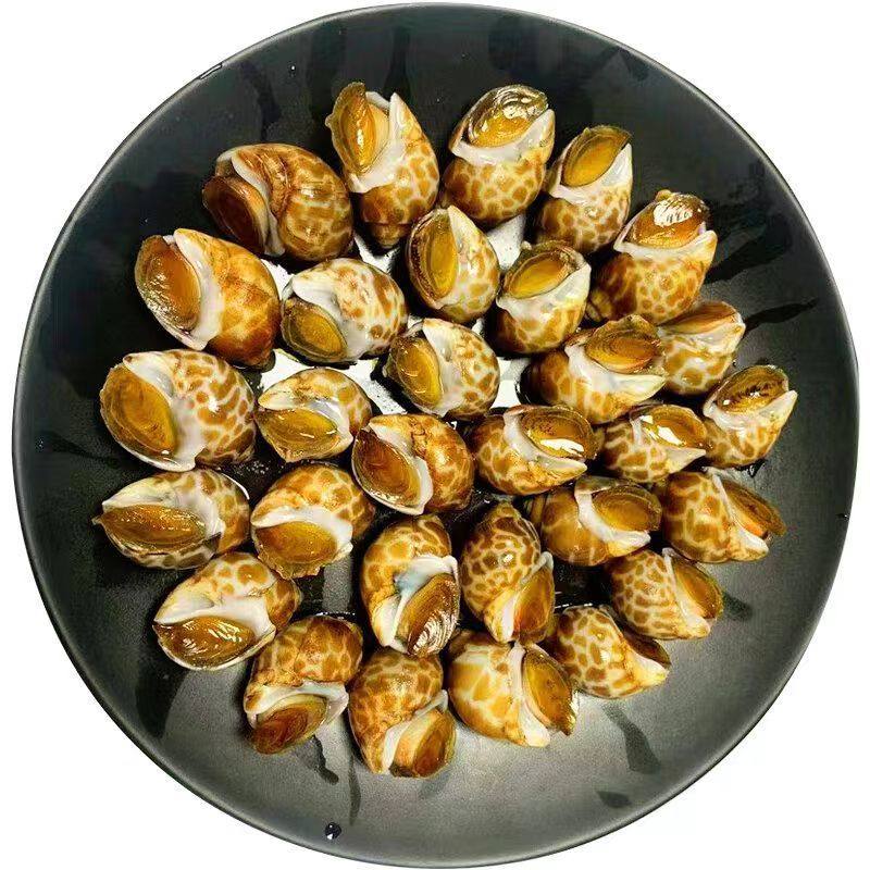 Flower Snails, Fresh Frozen Fresh Seafood Snails, Conch Fragrant Snails, Dongfeng Snails, Large Cat's Eye Snails, Frozen Flower Snails