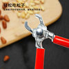 Pine Nut Clamp Factory Direct Sales Nut Pliers Spring Pine Nut Clamp Multifunctional Nut Core Opener Household Nut Clamp