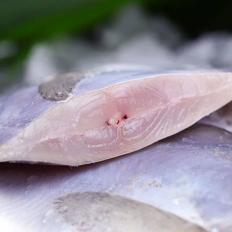 [Net Weight Without Ice] Fresh Frozen Pomfret, East China Sea Silver Pomfret, Fresh Seafood, Aquatic Products, Sea-Caught White Pomfret, Flat Fish