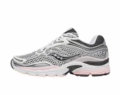 Silver powder 36-47
