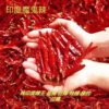 Indian Pepper, Extra Spicy New Product, Clean and Heavy Color, Extra Spicy and Spicy, Large Quantity Discount, Indian Pepper King