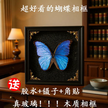 New Butterfly Specimen Photo Frame Display Stand DIY Handmade Solid Wood 6inch Hollow Photo Frame Empty Frame Insect Specimen Display Frame