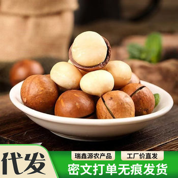 Wholesale Bulk Bags of Large, Thin-Skinned Macadamia Nuts with Creamy Flavor, Walnut Milk-Flavored Macadamia Nuts
