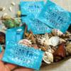 Kindergarten Small Prize Gift Conch Blind Bag Kidsren's Reward Natural Sea Shell DIY Decoration Pure Natural