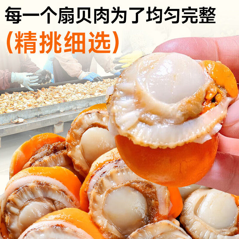 Ice-Free Extra Large Scallop Meat Scallop Meat with Yellow Fresh Quick-Frozen Scallop Meat Commercial Wholesale Custom-Made Oem Delivery