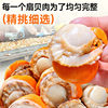 Ice-Free Extra Large Scallop Meat Scallop Meat with Yellow Fresh Quick-Frozen Scallop Meat Commercial Wholesale Custom-Made Oem Delivery