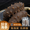 Ready-To-Eat Sea Cucumber 500g Soak-Free High-Quality Source Manufacturer Fresh Dalian Sea Cucumber Instant Sea Cucumber