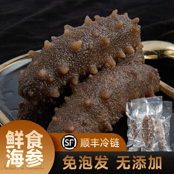 Ready-To-Eat Sea Cucumber 500g Soak-Free High-Quality Source Manufacturer Fresh Dalian Sea Cucumber Instant Sea Cucumber