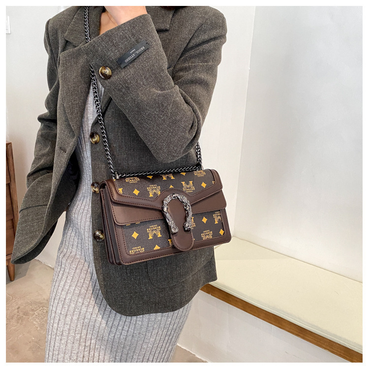 French Niche Bags for Women New Trendy Autumn and Winter Chain Shoulder Crossbody Bag Printed Small Square Bag Retro Style 9 undefined