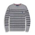 Gray striped black horse