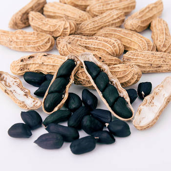 Yunnan Selenium-Rich Black Peanuts 250G/500G Bagged Raw Black Peanuts in Shells Can Be Shipped Wholesale in One Piece