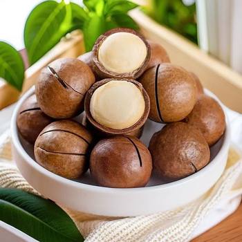 New Arrival Macadamia Nuts with Creamy Flavor, Large Thin-Skinned Nuts Snack 500g, Suitable for Wholesale, Easy to Peel by Hand, Commercial Use
