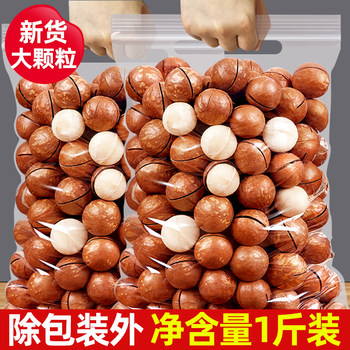 Delicious Macadamia Nut Milk Flavored Nuts 500g Creamy Summer Fruit Dried Fruit Nuts Roasted Seeds and Nuts Snacks for Pregnant Women New Arrival