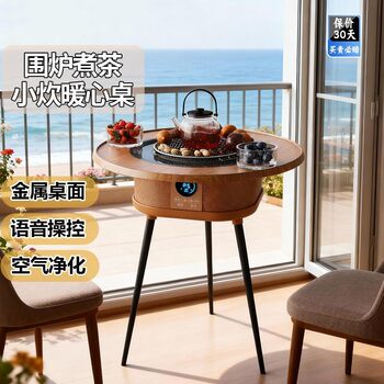 Cooking Craftsman's Tea-Making Electric Ceramic Stove for Heating Hot Pot, Negative Ion Electric Heater, Household Smart Voice Constant Temperature and Power Saving