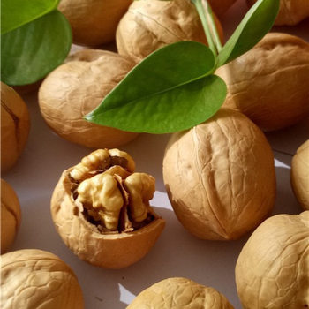 Duoduo Community E-Commerce Best-Selling Xinjiang 185 Walnuts 33 Walnut Base Shipped Happy Walnuts