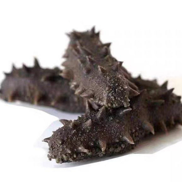Sea Cucumber Salted Semi-Dried Salted Non-Dalian Sea Cucumber 500g Factory Wholesale Can Be Used as Hotel Commercial Ingredients