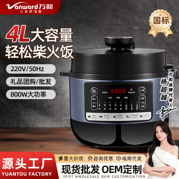 Wanhe Electric Pressure Cooker 4/5/6L Household Rice Cooker Intelligent Fully Automatic Large Capacity Electric Pressure Cooker Manufacturer Wholesale