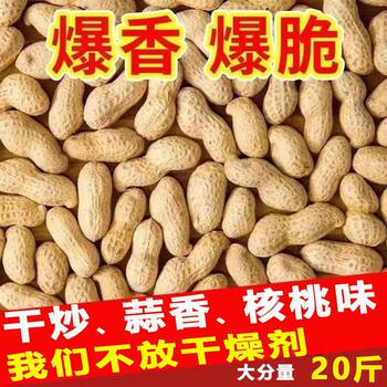 Wholesale Roasted Peanuts with Skin, Original Flavor, Roasted with Garlic Flavor 2.5kg Pcs, Milk Flavor 5kg Pcs, 10kg Packs Without Desiccant