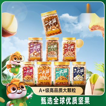 Canned Large Nuts 500g Large Can of Macadamia Nuts Casual Healthy Dried Fruit Roasted Seeds and Nuts Snacks