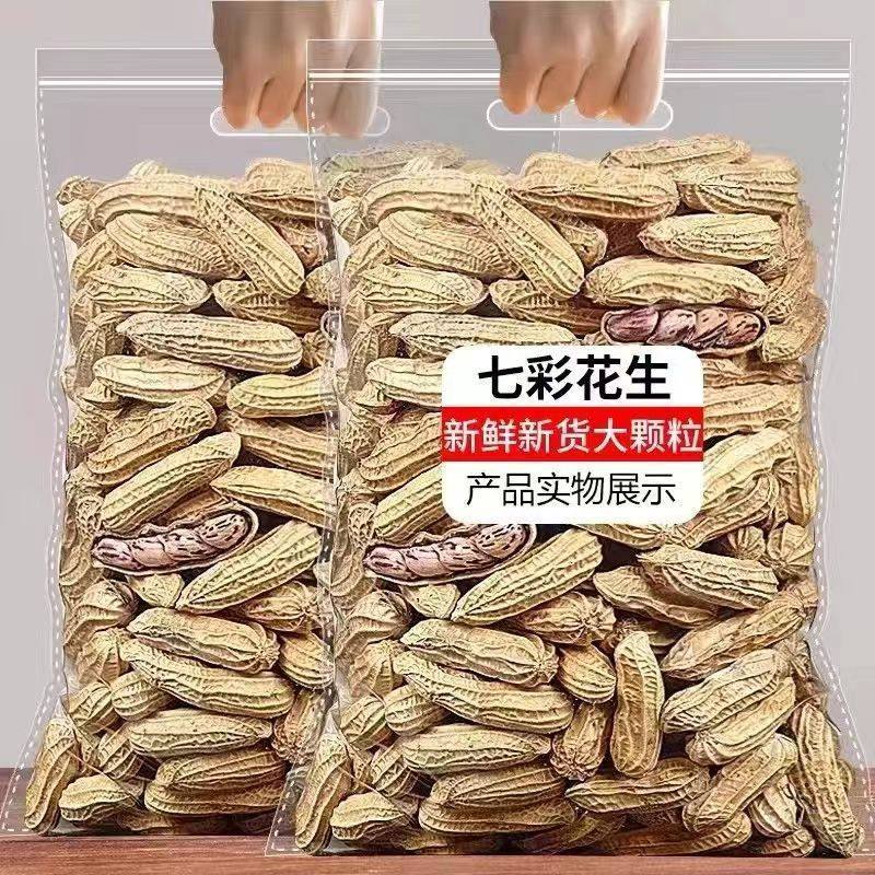 New Yunnan Colorful Peanuts in Shell Raw and Cooked Colorful Wild Peanuts Black Peanut Seeds Specialty
