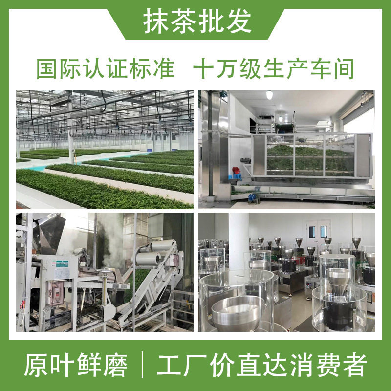 Etiquette-Grade High-Grade European Standard Matcha Powder Baked Milk Tea Catering Raw Materials Green Tea Instant Powder Freshly Ground