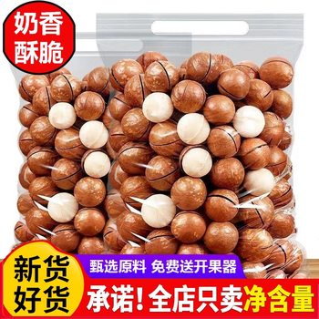Yunnan New Arrival Macadamia Nuts 500g Cream Flavored Bulk Dried Fruit Nuts for Pregnant Women Casual Original Nut Snacks